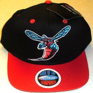 Delaware State Hornets Snapback hat Ncaa